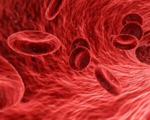 leucemia crónica