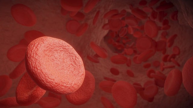 leucemia crónica mieloide