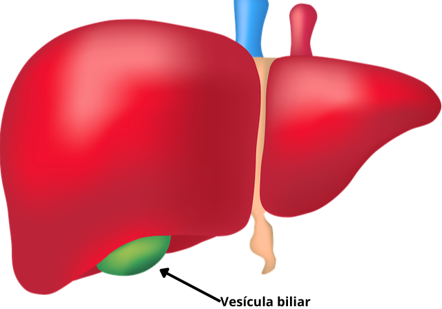 síntomas de vesícula en mujeres