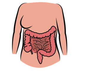 mesotelioma peritoneal