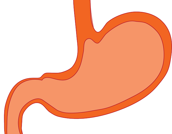 12 síntomas de cáncer de estómago