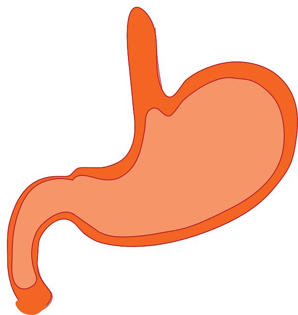 12 síntomas de cáncer de estómago