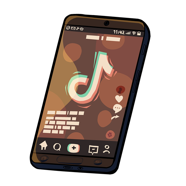 tiktok ads manager